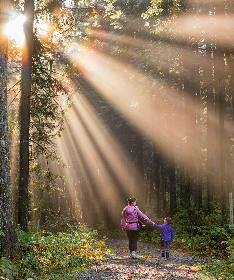 Natuurhuisje in het bos