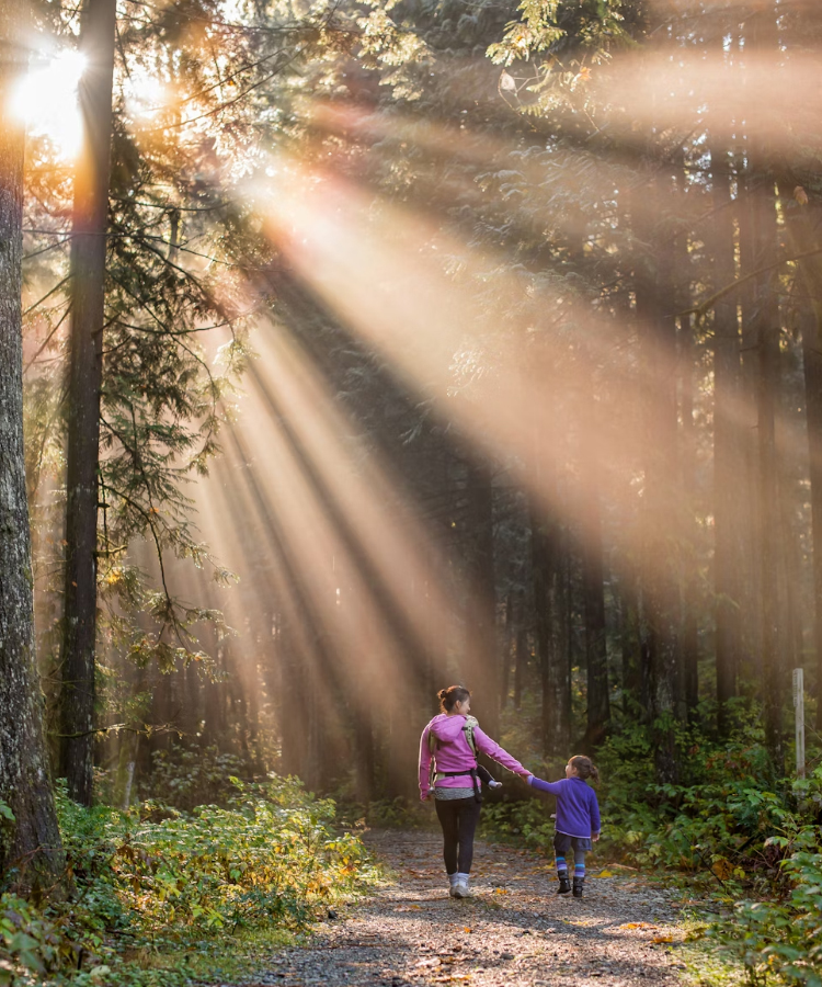 Natuurhuisje in het bos