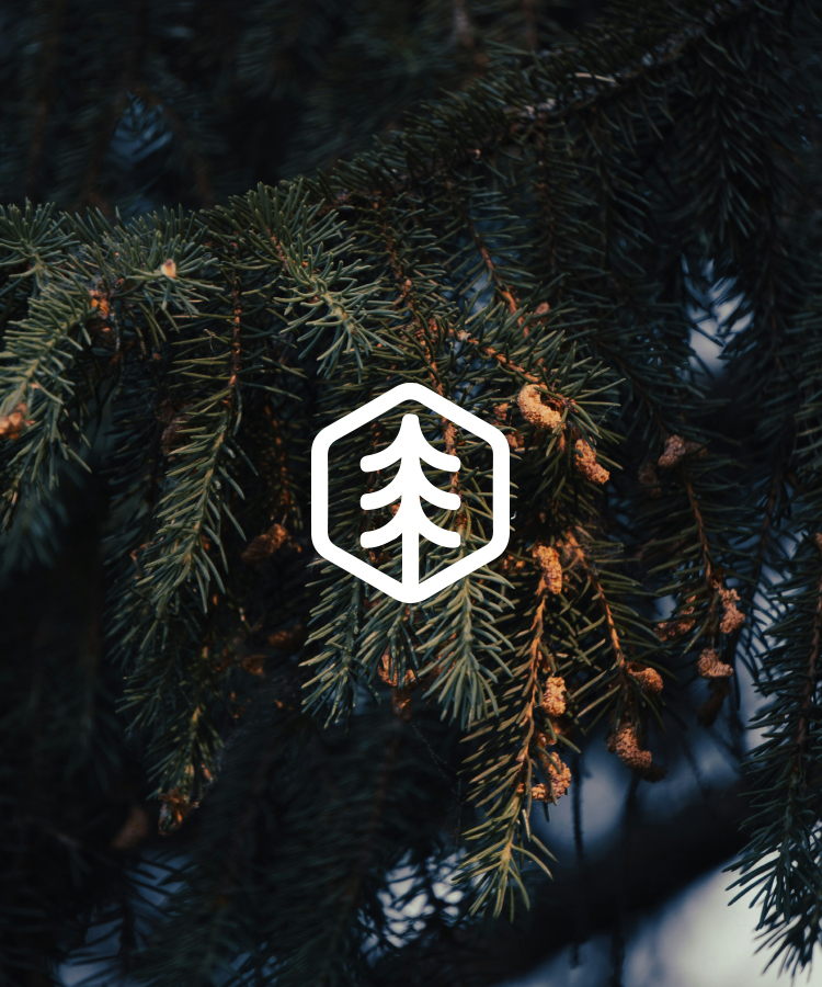 Natuurhuisje in het bos